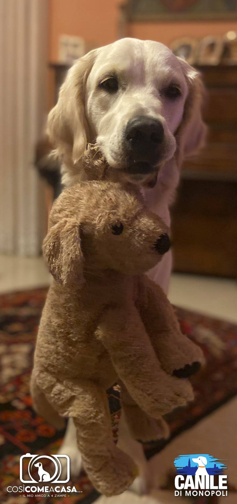 Bianca_Annalisa_Mantovi