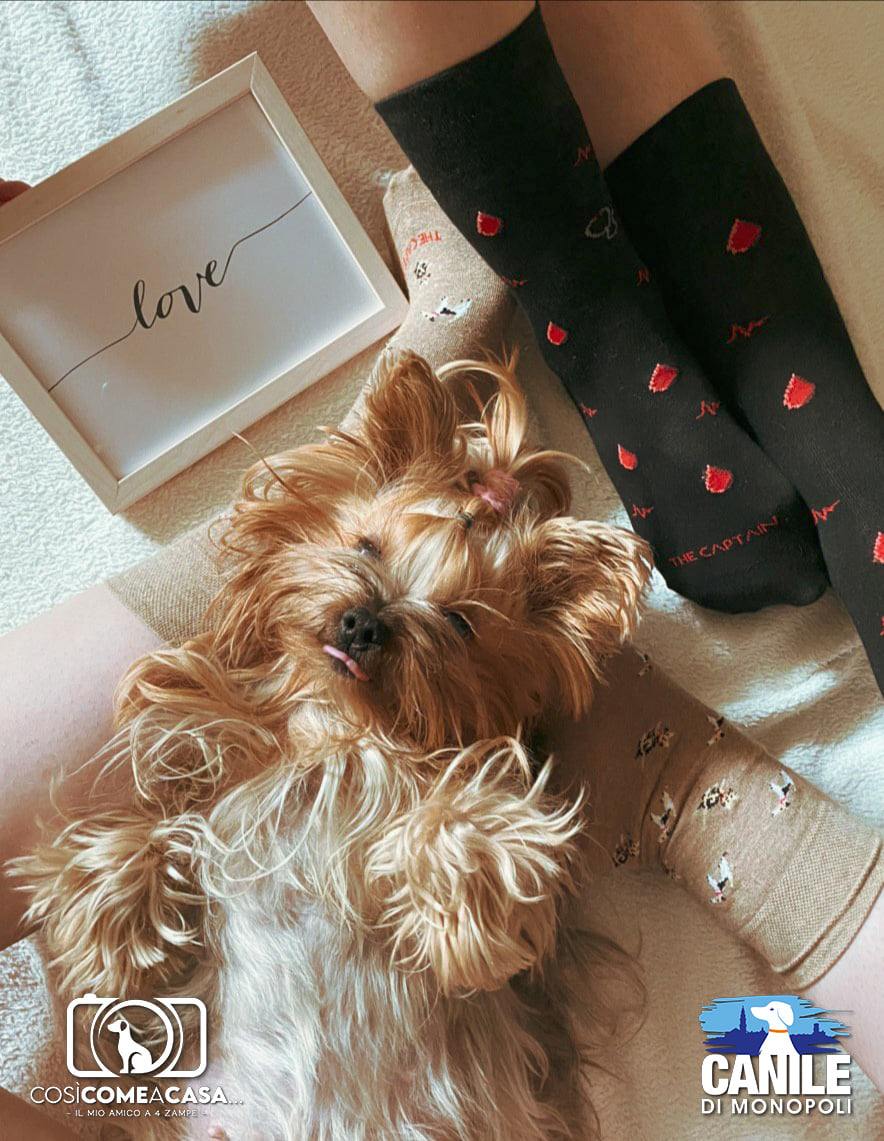 Daisy_Stefania_Valeria_Colucci