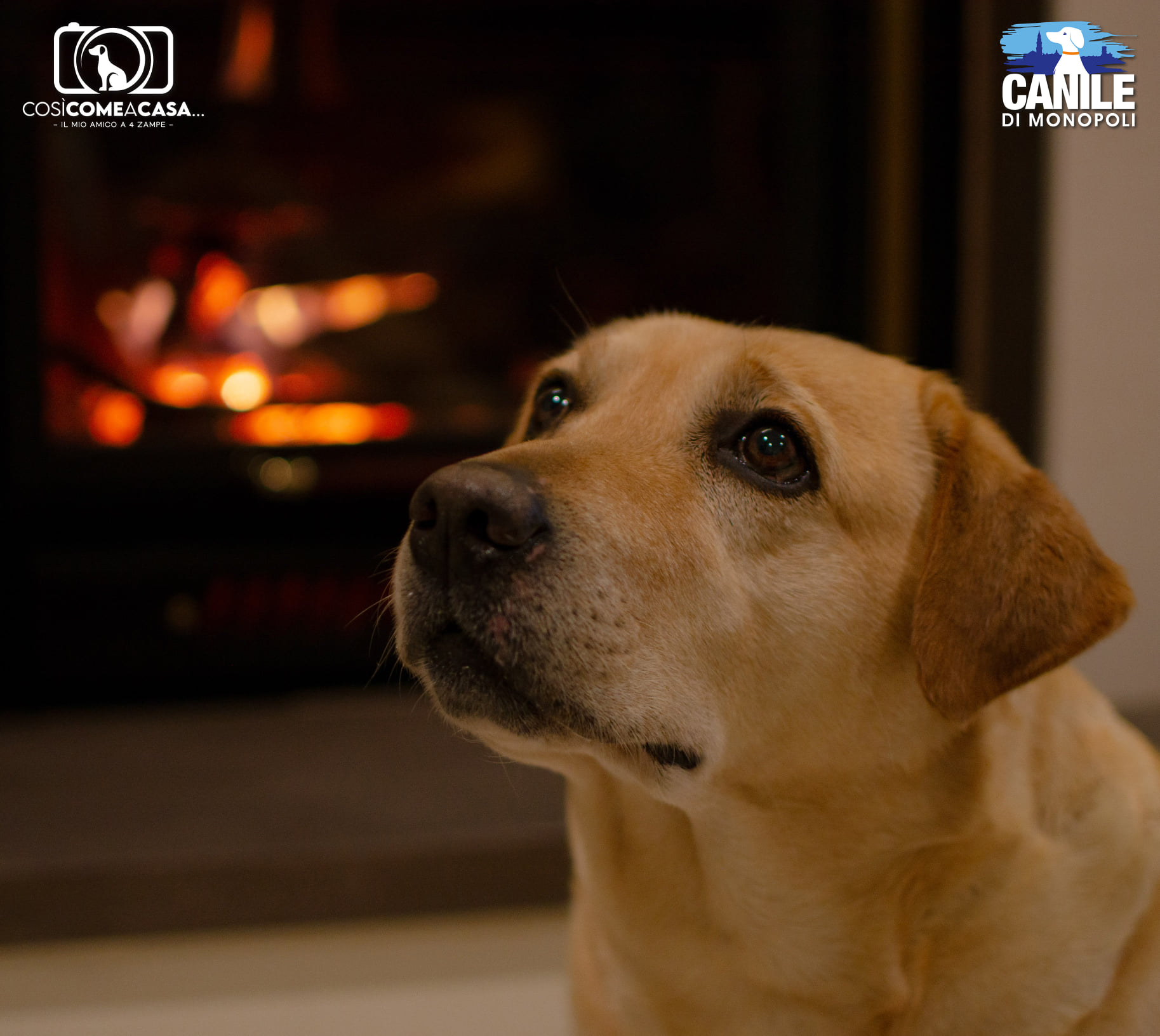 IlDonoDiOgniGiorno_IlariaMieuli