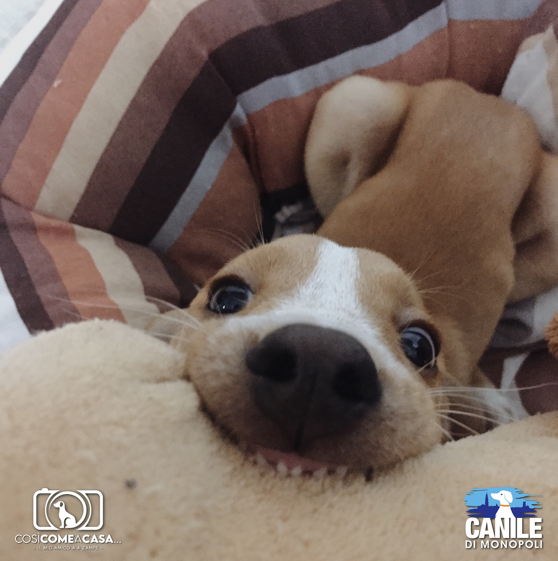 Oliver_SofiaAntoniaDanese