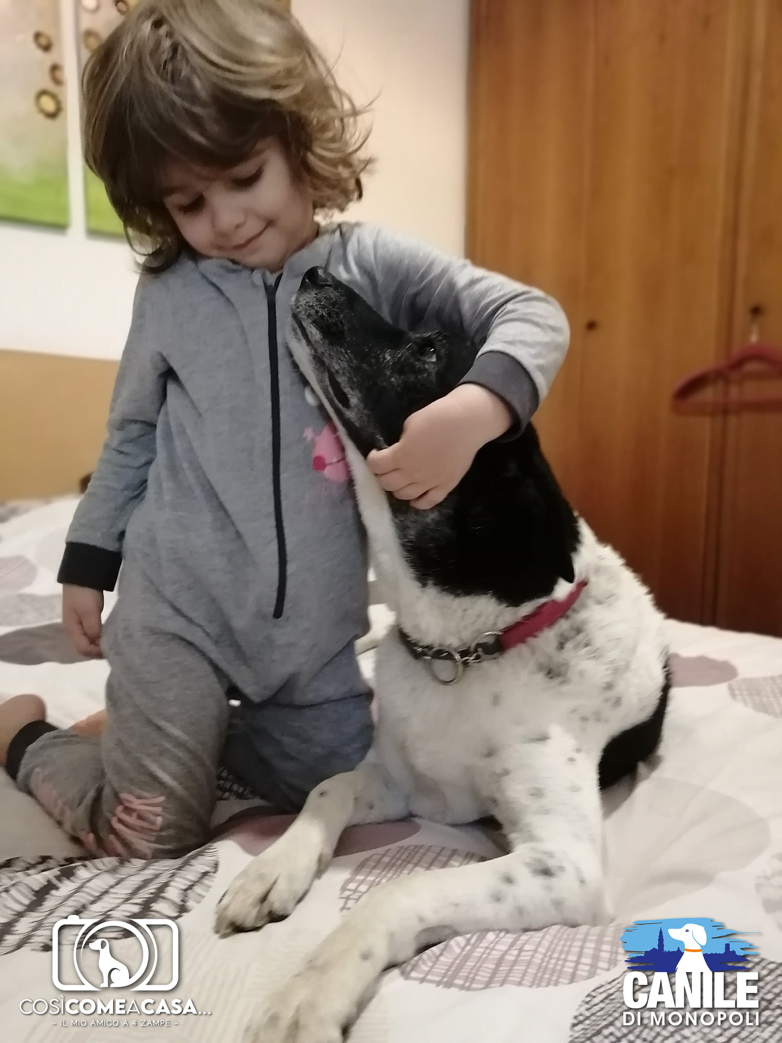 Pongo_ValeriaTodisco