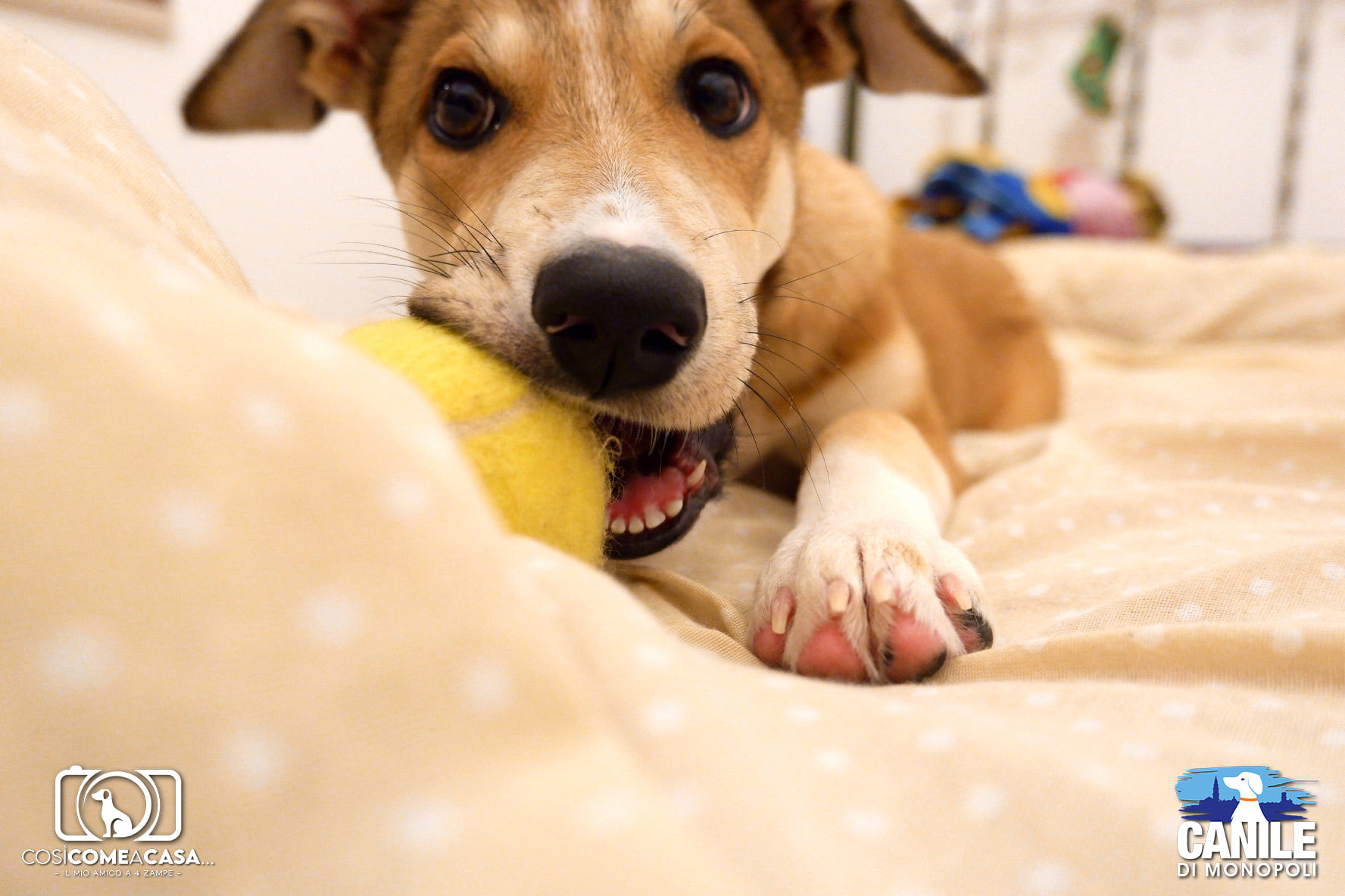 Wendy_Giusi_Sarcinella