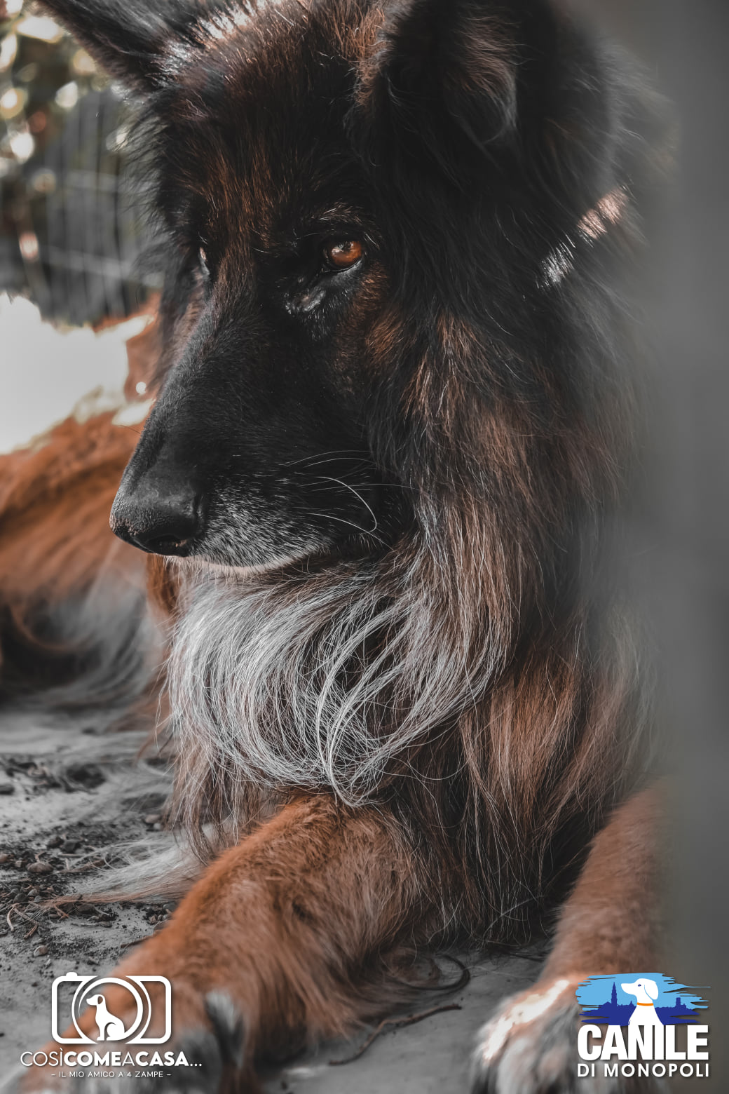 Whisky_Vito_Putignano