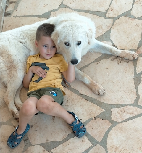 Belle_ContestCanileDiMonopoli2021_Settimana3