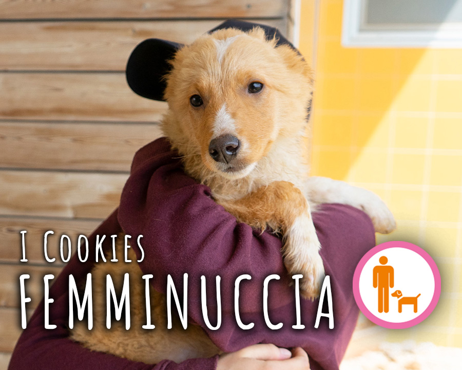 cookies-femmina-PROFILO